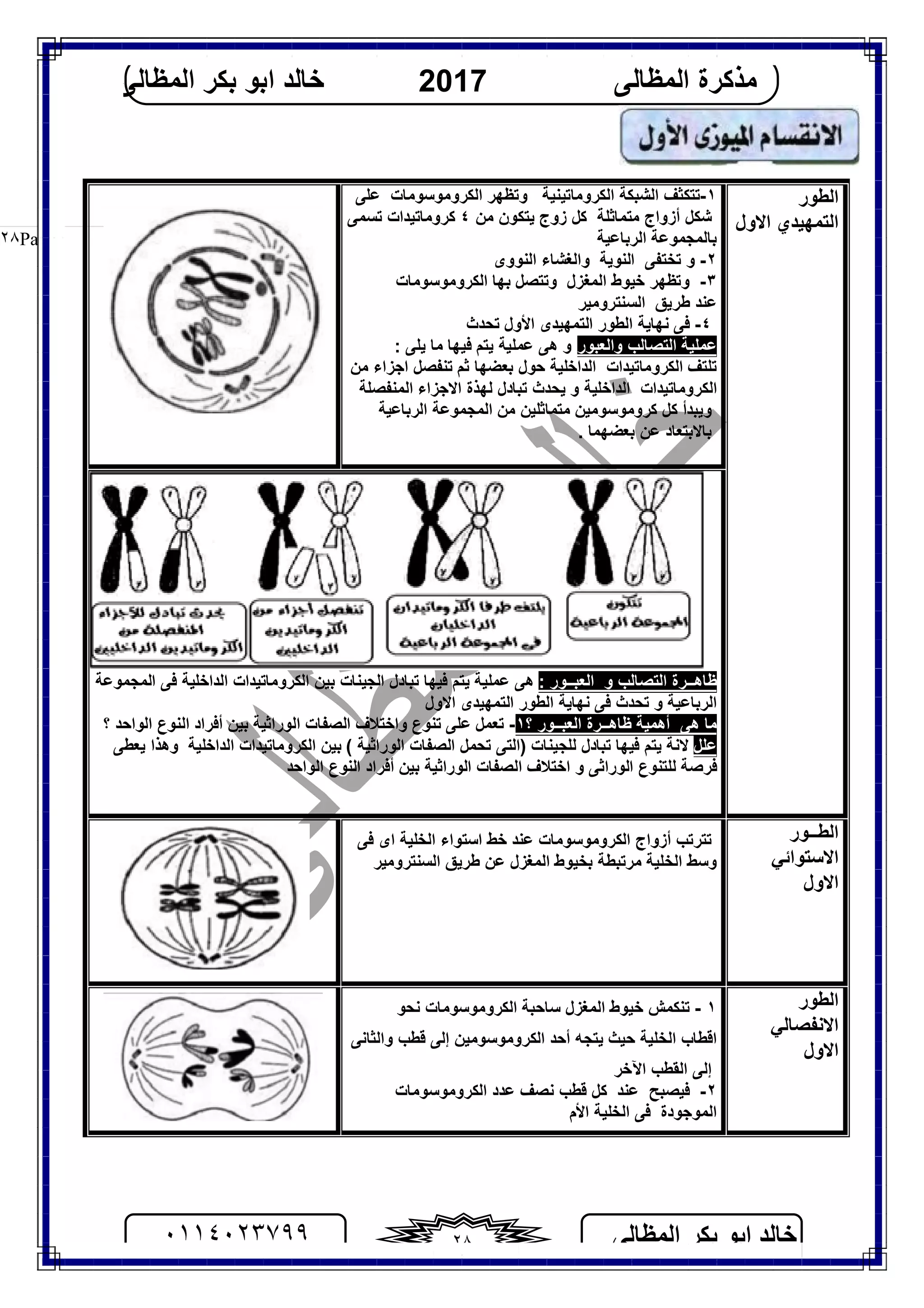 ‫اﻟﻤﻈﺎﻟﻰ‬ ‫ﺑﻜﺮ‬ ‫اﺑﻮ‬ ‫ﺧﺎﻟﺪ‬٠١١٤٠٢٣٧٩٩ ٢٨
‫اﻟﻤﻈﺎﻟﻰ‬ ‫ﻣﺬﻛﺮة‬2017‫اﻟﻤﻈﺎﻟﻰ‬ ‫ﺑﻜﺮ‬ ‫اﺑﻮ‬ ‫ﺧﺎﻟﺪ‬
Page |٢٨
‫اﻟﻄﻮر‬
‫اﻻول‬ ‫اﻟﺘﻤﮭﯿﺪي‬
١-‫اﻟﻜﺮوﻣﺎﺗ‬ ‫اﻟﺸﺒﻜﺔ‬ ‫ﺗﺘﻜﺜﻒ‬‫ﯿﻨﯿﺔ‬‫ﻋﻠﻰ‬ ‫اﻟﻜﺮوﻣﻮﺳﻮﻣﺎت‬ ‫وﺗﻈﮭﺮ‬
‫ﻣﻦ‬ ‫ﯾﺘﻜﻮن‬ ‫زوج‬ ‫ﻛﻞ‬ ‫ﻣﺘﻤﺎﺛﻠﺔ‬ ‫أزواج‬ ‫ﺷﻜﻞ‬٤‫ﺗﺴﻤﻰ‬ ‫ﻛﺮوﻣﺎﺗﯿﺪات‬
‫اﻟﺮﺑﺎﻋﯿﺔ‬ ‫ﺑﺎﻟﻤﺠﻤﻮﻋﺔ‬
٢-‫اﻟﻨﻮوى‬ ‫واﻟﻐﺸﺎء‬ ‫اﻟﻨﻮﯾﺔ‬ ‫ﺗﺨﺘﻔﻰ‬ ‫و‬
٣-‫اﻟﻤﻐﺰل‬ ‫ﺧﯿﻮط‬ ‫وﺗﻈﮭﺮ‬‫ﺑ‬ ‫وﺗﺘﺼﻞ‬‫ﮭﺎ‬‫اﻟﻜﺮوﻣﻮﺳﻮﻣﺎت‬
‫ﻃﺮﯾﻖ‬ ‫ﻋﻨﺪ‬‫اﻟﺴﻨﺘﺮوﻣﯿﺮ‬
٤-‫ﺗﺤﺪث‬ ‫اﻷول‬ ‫اﻟﺘﻤﮭﯿﺪى‬ ‫اﻟﻄﻮر‬ ‫ﻧﮭﺎﯾﺔ‬ ‫ﻓﻰ‬
‫ﻋﻤﻠﯿﺔ‬‫واﻟﻌﺒﻮر‬ ‫اﻟﺘﺼﺎﻟﺐ‬‫ﻓﯿﮭﺎ‬ ‫ﯾﺘﻢ‬ ‫ﻋﻤﻠﯿﺔ‬ ‫ھﻰ‬ ‫و‬‫ﯾﻠﻰ‬ ‫ﻣﺎ‬:
‫ﺗﻠﺘﻒ‬‫اﻟﺪاﺧﻠﯿﺔ‬ ‫اﻟﻜﺮوﻣﺎﺗﯿﺪات‬‫ﺛﻢ‬ ‫ﺑﻌﻀﮭﺎ‬ ‫ﺣﻮل‬‫ﺗ‬‫ﻣﻦ‬ ‫اﺟﺰاء‬ ‫ﻨﻔﺼﻞ‬
‫اﻻﺟﺰاء‬ ‫ﻟﮭﺬة‬ ‫ﺗﺒﺎدل‬ ‫ﯾﺤﺪث‬ ‫و‬ ‫اﻟﺪاﺧﻠﯿﺔ‬ ‫اﻟﻜﺮوﻣﺎﺗﯿﺪات‬‫اﻟﻤﻨﻔﺼﻠﺔ‬
‫اﻟﺮﺑﺎﻋﯿﺔ‬ ‫اﻟﻤﺠﻤﻮﻋﺔ‬ ‫ﻣﻦ‬ ‫ﻣﺘﻤﺎﺛﻠﯿﻦ‬ ‫ﻛﺮوﻣﻮﺳﻮﻣﯿﻦ‬ ‫ﻛﻞ‬ ‫وﯾﺒﺪأ‬
. ‫ﺑﻌﻀﮭﻤﺎ‬ ‫ﻋﻦ‬ ‫ﺑﺎﻻﺑﺘﻌﺎد‬
‫ﻇﺎھــ‬‫اﻟﺘﺼﺎﻟﺐ‬ ‫ﺮة‬: ‫اﻟﻌﺒــﻮر‬ ‫و‬‫ھﻰ‬‫ﻋﻤﻠﯿﺔ‬‫ﻓﯿﮭﺎ‬ ‫ﯾﺘﻢ‬‫ﺗﺒﺎدل‬‫ا‬‫اﻟﻤﺠﻤﻮﻋﺔ‬ ‫ﻓﻰ‬ ‫اﻟﺪاﺧﻠﯿﺔ‬ ‫اﻟﻜﺮوﻣﺎﺗﯿﺪات‬ ‫ﺑﯿﻦ‬ ‫ﻟﺠﯿﻨﺎت‬
‫اﻟﺮﺑﺎﻋﯿﺔ‬‫و‬‫اﻟﺘﻤﮭﯿﺪى‬ ‫اﻟﻄﻮر‬ ‫ﻧﮭﺎﯾﺔ‬ ‫ﻓﻰ‬ ‫ﺗﺤﺪث‬‫اﻻول‬
‫؟‬ ‫اﻟﻌﺒــﻮر‬ ‫ﻇﺎھــﺮة‬ ‫أھﻤﯿﺔ‬ ‫ھﻰ‬ ‫ﻣﺎ‬١-‫ﺗﻌﻤﻞ‬‫اﻟﺼﻔﺎت‬ ‫واﺧﺘﻼف‬ ‫ﺗﻨﻮع‬ ‫ﻋﻠﻰ‬‫اﻟﻮاﺣﺪ‬ ‫اﻟﻨﻮع‬ ‫أﻓﺮاد‬ ‫ﺑﯿﻦ‬ ‫اﻟﻮراﺛﯿﺔ‬‫؟‬
‫ﻋﻠﻞ‬‫ﻓﯿﮭﺎ‬ ‫ﯾﺘﻢ‬ ‫ﻻﻧﺔ‬‫ﺗﺒﺎدل‬‫ﻟ‬‫ﻠﺠﯿﻨﺎت‬)‫اﻟﻮراﺛﯿﺔ‬ ‫اﻟﺼﻔﺎت‬ ‫ﺗﺤﻤﻞ‬ ‫اﻟﺘﻰ‬(‫اﻟﻜﺮوﻣﺎﺗﯿﺪات‬ ‫ﺑﯿﻦ‬‫اﻟﺪاﺧﻠﯿﺔ‬‫ﯾﻌﻄﻰ‬ ‫وھﺬا‬
‫اﻟﻨﻮع‬ ‫أﻓﺮاد‬ ‫ﺑﯿﻦ‬ ‫اﻟﻮراﺛﯿﺔ‬ ‫اﻟﺼﻔﺎت‬ ‫اﺧﺘﻼف‬ ‫و‬ ‫اﻟﻮراﺛﻰ‬ ‫ﻟﻠﺘﻨﻮع‬ ‫ﻓﺮﺻﺔ‬‫اﻟﻮاﺣﺪ‬
‫اﻟﻄــﻮر‬
‫اﻻﺳﺘﻮاﺋﻲ‬
‫اﻻول‬
‫اﻟﻜﺮوﻣﻮﺳﻮﻣﺎت‬ ‫أزواج‬ ‫ﺗﺘﺮﺗﺐ‬‫ﻋﻨﺪ‬‫ﻓﻰ‬ ‫اى‬ ‫اﻟﺨﻠﯿﺔ‬ ‫اﺳﺘﻮاء‬ ‫ﺧﻂ‬
‫اﻟﺨﻠﯿﺔ‬ ‫وﺳﻂ‬‫ﺑ‬ ‫ﻣﺮﺗﺒﻄﺔ‬‫اﻟﻤﻐ‬ ‫ﺨﯿﻮط‬‫ﺰل‬‫ﻃﺮﯾﻖ‬ ‫ﻋﻦ‬‫اﻟﺴﻨﺘﺮوﻣﯿﺮ‬
‫اﻟﻄﻮر‬
‫اﻻﻧﻔﺼﺎﻟﻲ‬
‫اﻻول‬
١-‫اﻟﻜﺮوﻣﻮﺳﻮﻣﺎت‬ ‫ﺳﺎﺣﺒﺔ‬ ‫اﻟﻤﻐﺰل‬ ‫ﺧﯿﻮط‬ ‫ﺗﻨﻜﻤﺶ‬‫ﻧﺤﻮ‬
‫ا‬‫ﻗﻄ‬‫ﺎ‬‫واﻟﺜﺎﻧﻰ‬ ‫ﻗﻄﺐ‬ ‫إﻟﻰ‬ ‫اﻟﻜﺮوﻣﻮﺳﻮﻣﯿﻦ‬ ‫أﺣﺪ‬ ‫ﯾﺘﺠﮫ‬ ‫ﺣﯿﺚ‬ ‫اﻟﺨﻠﯿﺔ‬ ‫ب‬
‫اﻵﺧﺮ‬ ‫اﻟﻘﻄﺐ‬ ‫إﻟﻰ‬
٢-‫اﻟﻜﺮوﻣﻮﺳﻮﻣﺎت‬ ‫ﻋﺪد‬ ‫ﻧﺼﻒ‬ ‫ﻗﻄﺐ‬ ‫ﻛﻞ‬ ‫ﻋﻨﺪ‬ ‫ﻓﯿﺼﺒﺢ‬
‫اﻟﻤﻮﺟﻮدة‬‫اﻷم‬ ‫اﻟﺨﻠﯿﺔ‬ ‫ﻓﻰ‬
 
