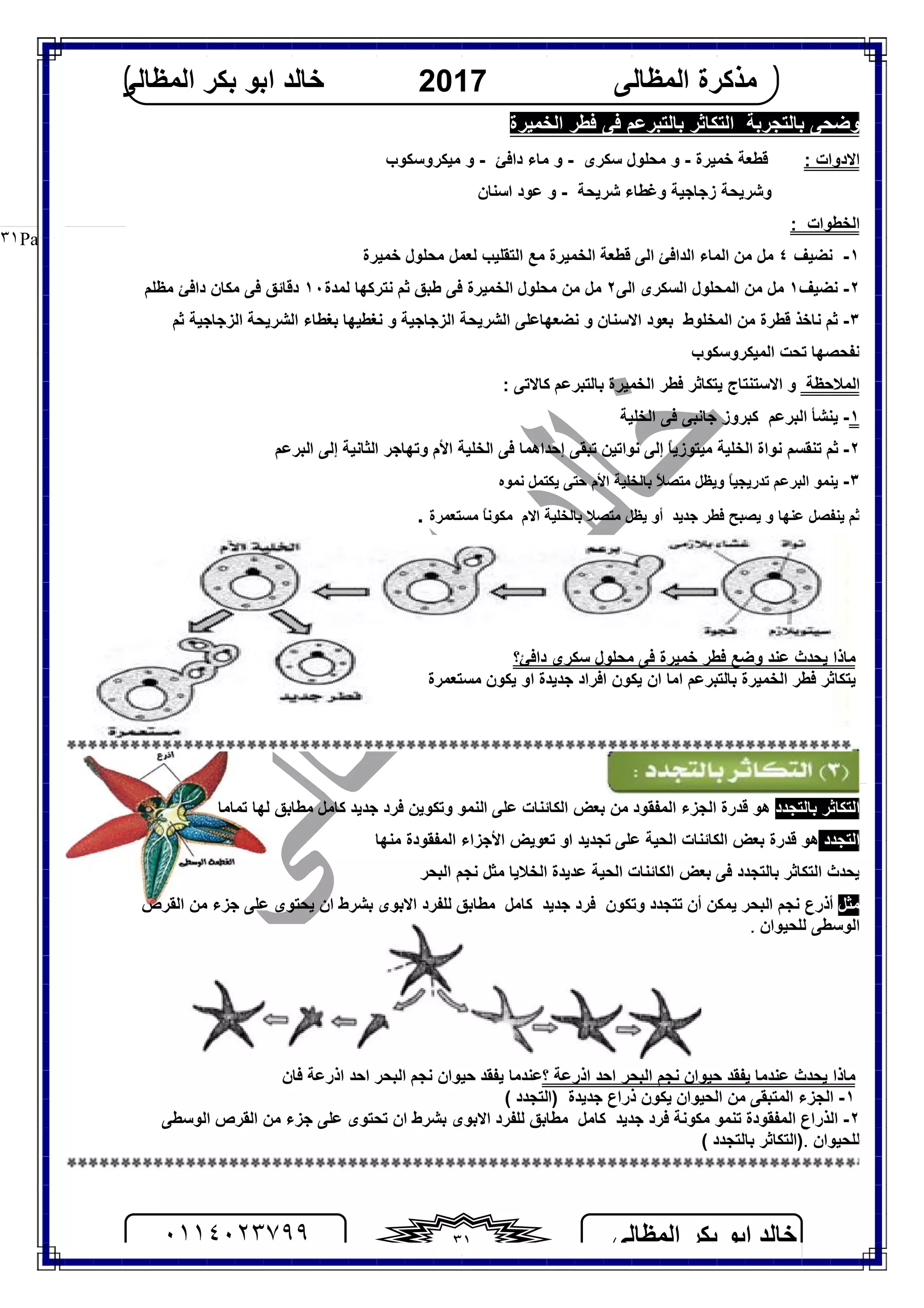 ‫اﻟﻤﻈﺎﻟﻰ‬ ‫ﺑﻜﺮ‬ ‫اﺑﻮ‬ ‫ﺧﺎﻟﺪ‬٠١١٤٠٢٣٧٩٩ ٣١
‫اﻟﻤﻈﺎﻟﻰ‬ ‫ﻣﺬﻛﺮة‬2017‫اﻟﻤﻈﺎﻟﻰ‬ ‫ﺑﻜﺮ‬ ‫اﺑﻮ‬ ‫ﺧﺎﻟﺪ‬
Page |٣١
‫ﺑﺎﻟﺘﺠﺮﺑﺔ‬ ‫وﺿﺤﻰ‬‫ﻓﻰ‬ ‫ﺑﺎﻟﺘﺒﺮﻋﻢ‬ ‫اﻟﺘﻜﺎﺛﺮ‬‫اﻟﺨﻤﯿﺮة‬ ‫ﻓﻄﺮ‬
‫اﻻدوات‬:‫ﺧﻤﯿﺮة‬ ‫ﻗﻄﻌﺔ‬-‫ﺳﻜﺮى‬ ‫ﻣﺤﻠﻮل‬ ‫و‬-‫داﻓﺊ‬ ‫ﻣﺎء‬ ‫و‬-‫ﻣﯿﻜﺮوﺳﻜﻮب‬ ‫و‬
‫زﺟﺎﺟﯿﺔ‬ ‫وﺷﺮﯾﺤﺔ‬‫ﺷﺮﯾﺤﺔ‬ ‫وﻏﻄﺎء‬-‫اﺳﻨﺎن‬ ‫ﻋﻮد‬ ‫و‬
: ‫اﻟﺨﻄﻮات‬
١-‫ﻧﻀﯿﻒ‬٤‫ا‬ ‫اﻟﺪاﻓﺊ‬ ‫اﻟﻤﺎء‬ ‫ﻣﻦ‬ ‫ﻣﻞ‬‫ﻟﻰ‬‫ﺧﻤﯿﺮة‬ ‫ﻣﺤﻠﻮل‬ ‫ﻟﻌﻤﻞ‬ ‫اﻟﺘﻘﻠﯿﺐ‬ ‫ﻣﻊ‬ ‫اﻟﺨﻤﯿﺮة‬ ‫ﻗﻄﻌﺔ‬
٢-‫ﻧﻀﯿﻒ‬١‫اﻟﺴﻜﺮى‬ ‫اﻟﻤﺤﻠﻮل‬ ‫ﻣﻦ‬ ‫ﻣﻞ‬‫اﻟﻰ‬٢‫ﻟﻤﺪة‬ ‫ﻧﺘﺮﻛﮭﺎ‬ ‫ﺛﻢ‬ ‫ﻃﺒﻖ‬ ‫ﻓﻰ‬ ‫اﻟﺨﻤﯿﺮة‬ ‫ﻣﺤﻠﻮل‬ ‫ﻣﻦ‬ ‫ﻣﻞ‬١٠‫ﻣﻈﻠﻢ‬ ‫داﻓﺊ‬ ‫ﻣﻜﺎن‬ ‫ﻓﻰ‬ ‫دﻗﺎﺋﻖ‬
٣-‫ﻧﺎﺧﺬ‬ ‫ﺛﻢ‬‫ﻗﻄﺮة‬‫ﻣﻦ‬‫اﻟﻤﺨﻠﻮط‬‫ﻧﻀﻌ‬ ‫و‬ ‫اﻻﺳﻨﺎن‬ ‫ﺑﻌﻮد‬‫ﮭﺎ‬‫ﺛﻢ‬ ‫اﻟﺰﺟﺎﺟﯿﺔ‬ ‫اﻟﺸﺮﯾﺤﺔ‬ ‫ﺑﻐﻄﺎء‬ ‫ﻧﻐﻄﯿﮭﺎ‬ ‫و‬ ‫اﻟﺰﺟﺎﺟﯿﺔ‬ ‫اﻟﺸﺮﯾﺤﺔ‬ ‫ﻋﻠﻰ‬
‫ﻧﻔﺤ‬‫اﻟﻤﯿﻜﺮوﺳﻜﻮب‬ ‫ﺗﺤﺖ‬ ‫ﺼﮭﺎ‬
‫اﻟﻤﻼﺣﻈﺔ‬: ‫ﻛﺎﻻﺗﻰ‬ ‫ﺑﺎﻟﺘﺒﺮﻋﻢ‬ ‫اﻟﺨﻤﯿﺮة‬ ‫ﻓﻄﺮ‬ ‫ﯾﺘﻜﺎﺛﺮ‬ ‫اﻻﺳﺘﻨﺘﺎج‬ ‫و‬
١-‫اﻟﺨﻠﯿﺔ‬ ‫ﻓﻰ‬ ‫ﺟﺎﻧﺒﻰ‬ ‫ﻛﺒﺮوز‬ ‫اﻟﺒﺮﻋﻢ‬ ‫ﯾﻨﺸﺄ‬
٢-‫اﻟﺒﺮﻋﻢ‬ ‫إﻟﻰ‬ ‫اﻟﺜﺎﻧﯿﺔ‬ ‫وﺗﮭﺎﺟﺮ‬ ‫اﻷم‬ ‫اﻟﺨﻠﯿﺔ‬ ‫ﻓﻰ‬ ‫إﺣﺪاھﻤﺎ‬ ‫ﺗﺒﻘﻰ‬ ‫ﻧﻮاﺗﯿﻦ‬ ‫إﻟﻰ‬ ً‫ﺎ‬‫ﻣﯿﺘﻮزﯾ‬ ‫اﻟﺨﻠﯿﺔ‬ ‫ﻧﻮاة‬ ‫ﺗﻨﻘﺴﻢ‬ ‫ﺛﻢ‬
٣-‫ﺑ‬ ً‫ﻼ‬‫ﻣﺘﺼ‬ ‫وﯾﻈﻞ‬ ً‫ﺎ‬‫ﺗﺪرﯾﺠﯿ‬ ‫اﻟﺒﺮﻋﻢ‬ ‫ﯾﻨﻤﻮ‬‫ﻧﻤﻮه‬ ‫ﯾﻜﺘﻤﻞ‬ ‫ﺣﺘﻰ‬ ‫اﻷم‬ ‫ﺎﻟﺨﻠﯿﺔ‬
‫ﻋﻨﮭﺎ‬ ‫ﯾﻨﻔﺼﻞ‬ ‫ﺛﻢ‬‫ﺟﺪﯾﺪ‬ ‫ﻓﻄﺮ‬ ‫ﯾﺼﺒﺢ‬ ‫و‬‫ﻣﺴﺘﻌﻤﺮة‬ ً‫ﺎ‬‫ﻣﻜﻮﻧ‬ ‫اﻻم‬ ‫ﺑﺎﻟﺨﻠﯿﺔ‬ ‫ﻣﺘﺼﻼ‬ ‫ﯾﻈﻞ‬ ‫أو‬.
‫داﻓﺊ؟‬ ‫ﺳﻜﺮى‬ ‫ﻣﺤﻠﻮل‬ ‫ﻓﻰ‬ ‫ﺧﻤﯿﺮة‬ ‫ﻓﻄﺮ‬ ‫وﺿﻊ‬ ‫ﻋﻨﺪ‬ ‫ﯾﺤﺪث‬ ‫ﻣﺎذا‬
‫ﻣﺴﺘﻌﻤﺮة‬ ‫ﯾﻜﻮن‬ ‫او‬ ‫ﺟﺪﯾﺪة‬ ‫اﻓﺮاد‬ ‫ﯾﻜﻮن‬ ‫ان‬ ‫اﻣﺎ‬ ‫ﺑﺎﻟﺘﺒﺮﻋﻢ‬ ‫اﻟﺨﻤﯿﺮة‬ ‫ﻓﻄﺮ‬ ‫ﯾﺘﻜﺎﺛﺮ‬
‫ﺑﺎﻟﺘﺠﺪد‬ ‫اﻟﺘﻜﺎﺛﺮ‬‫ھﻮ‬‫اﻟﺠﺰء‬ ‫ﻗﺪرة‬‫اﻟﻤﻔﻘﻮد‬‫اﻟﻜﺎﺋﻨﺎت‬ ‫ﺑﻌﺾ‬ ‫ﻣﻦ‬‫ﻛﺎﻣﻞ‬ ‫ﺟﺪﯾﺪ‬ ‫ﻓﺮد‬ ‫وﺗﻜﻮﯾﻦ‬ ‫اﻟﻨﻤﻮ‬ ‫ﻋﻠﻰ‬‫ﺗﻤﺎﻣﺎ‬ ‫ﻟﮭﺎ‬ ‫ﻣﻄﺎﺑﻖ‬
‫اﻟﺘﺠﺪد‬‫ﺑﻌﺾ‬ ‫ﻗﺪرة‬ ‫ھﻮ‬‫اﻟﺤﯿﺔ‬ ‫اﻟﻜﺎﺋﻨﺎت‬‫ﻋﻠﻰ‬‫او‬ ‫ﺗﺠﺪﯾﺪ‬‫اﻟﻤﻔﻘﻮدة‬ ‫اﻷﺟﺰاء‬ ‫ﺗﻌﻮﯾﺾ‬‫ﻣﻨﮭﺎ‬
‫ﯾ‬‫اﻟﺒﺤﺮ‬ ‫ﻧﺠﻢ‬ ‫ﻣﺜﻞ‬ ‫اﻟﺨﻼﯾﺎ‬ ‫ﻋﺪﯾﺪة‬ ‫اﻟﺤﯿﺔ‬ ‫اﻟﻜﺎﺋﻨﺎت‬ ‫ﺑﻌﺾ‬ ‫ﻓﻰ‬ ‫ﺑﺎﻟﺘﺠﺪد‬ ‫اﻟﺘﻜﺎﺛﺮ‬ ‫ﺤﺪث‬
‫ﻣﺜ‬‫ﻞ‬‫ﺗ‬ ‫أن‬ ‫ﯾﻤﻜﻦ‬ ‫اﻟﺒﺤﺮ‬ ‫ﻧﺠﻢ‬ ‫أذرع‬‫ﺘ‬‫و‬ ‫ﺠﺪد‬‫ﺗﻜﻮن‬‫ﺟﺪﯾﺪ‬ ‫ﻓﺮد‬‫ﻛﺎﻣﻞ‬‫ﺑﺸﺮط‬ ‫اﻻﺑﻮى‬ ‫ﻟﻠﻔﺮد‬ ‫ﻣﻄﺎﺑﻖ‬‫ﯾﺤﺘﻮى‬ ‫ان‬‫اﻟﻘﺮص‬ ‫ﻣﻦ‬ ‫ﺟﺰء‬ ‫ﻋﻠﻰ‬
‫ﻟﻠﺤﯿﻮان‬ ‫اﻟﻮﺳﻄﻰ‬.
‫ﯾ‬ ‫ﻋﻨﺪﻣﺎ‬ ‫ﯾﺤﺪث‬ ‫ﻣﺎذا‬‫؟‬ ‫اذرﻋﺔ‬ ‫اﺣﺪ‬ ‫اﻟﺒﺤﺮ‬ ‫ﻧﺠﻢ‬ ‫ﺣﯿﻮان‬ ‫ﻔﻘﺪ‬‫اذرﻋﺔ‬ ‫اﺣﺪ‬ ‫اﻟﺒﺤﺮ‬ ‫ﻧﺠﻢ‬ ‫ﺣﯿﻮان‬ ‫ﯾﻔﻘﺪ‬ ‫ﻋﻨﺪﻣﺎ‬‫ﻓﺎن‬
١-‫اﻟﺤﯿﻮان‬ ‫ﻣﻦ‬ ‫اﻟﻤﺘﺒﻘﻰ‬ ‫اﻟﺠﺰء‬‫ﯾ‬‫ذراع‬ ‫ﻜﻮن‬‫ﺟ‬‫ﺪﯾﺪ‬‫ة‬)‫اﻟﺘﺠﺪد‬(
٢-‫اﻟﻤﻔﻘﻮد‬ ‫اﻟﺬراع‬‫ة‬‫ﻣﻜﻮﻧﺔ‬ ‫ﺗﻨﻤﻮ‬‫ﺟﺪﯾﺪ‬ ‫ﻓﺮد‬‫ﻛﺎﻣﻞ‬‫ﻣﻄﺎﺑﻖ‬‫ان‬ ‫ﺑﺸﺮط‬ ‫اﻻﺑﻮى‬ ‫ﻟﻠﻔﺮد‬‫ﺗ‬‫ﺤﺘﻮى‬‫اﻟﻮﺳﻄﻰ‬ ‫اﻟﻘﺮص‬ ‫ﻣﻦ‬ ‫ﺟﺰء‬ ‫ﻋﻠﻰ‬
‫ﻟﻠﺤﯿﻮان‬.)‫ﺑﺎﻟﺘﺠﺪد‬ ‫اﻟﺘﻜﺎﺛﺮ‬(
 