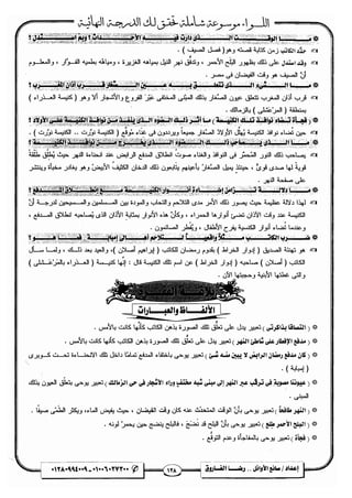 مذكرة رضا الفاروق في اللغة العربية للشهادة الثانوية 2017