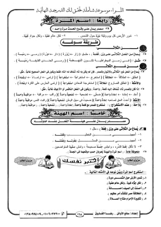 مذكرة رضا الفاروق في اللغة العربية للشهادة الثانوية 2017