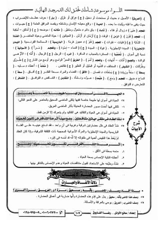 مذكرة رضا الفاروق في اللغة العربية للشهادة الثانوية 2017