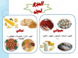 ‫حيواني‬
‫اللحوم‬–‫السمك‬–‫الدواجن‬–‫البٌض‬–‫االلبان‬
.....
‫نباتي‬
‫الخبز‬–‫األرز‬–‫المكرونة‬–‫البطاطس‬–
‫البقولٌات‬....
‫الربو‬
‫تني‬
 
