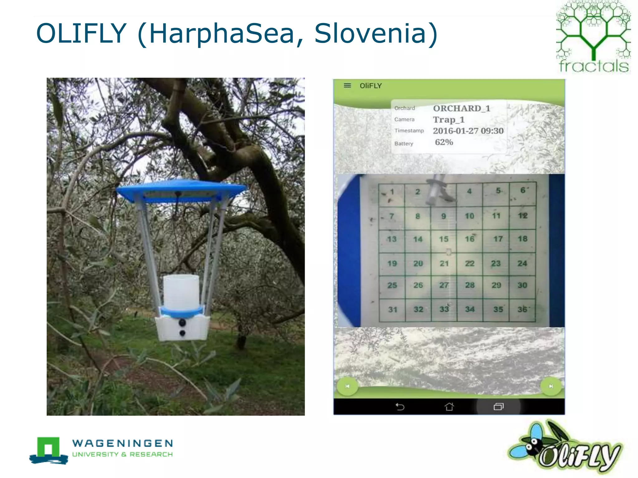 OLIFLY (HarphaSea, Slovenia)
14
 