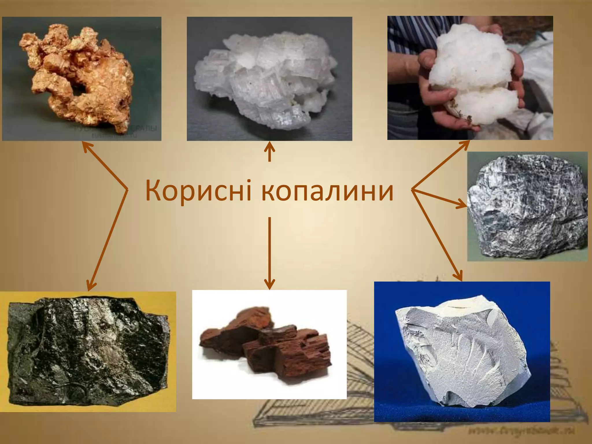 Корисні копалини
 