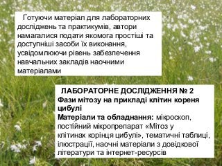 Готуючи матеріал для лабораторних
досліджень та практикумів, автори
намагалися подати якомога простіші та
доступніші засоби їх виконання,
усвідомлюючи рівень забезпечення
навчальних закладів наочними
матеріалами
ЛАБОРАТОРНЕ ДОСЛІДЖЕННЯ № 2
Фази мітозу на прикладі клітин кореня
цибулі
Матеріали та обладнання: мікроскоп,
постійний мікропрепарат «Мітоз у
клітинах корінця цибулі», тематичні таблиці,
ілюстрації, наочні матеріали з довідкової
літератури та інтернет-ресурсів
.
 