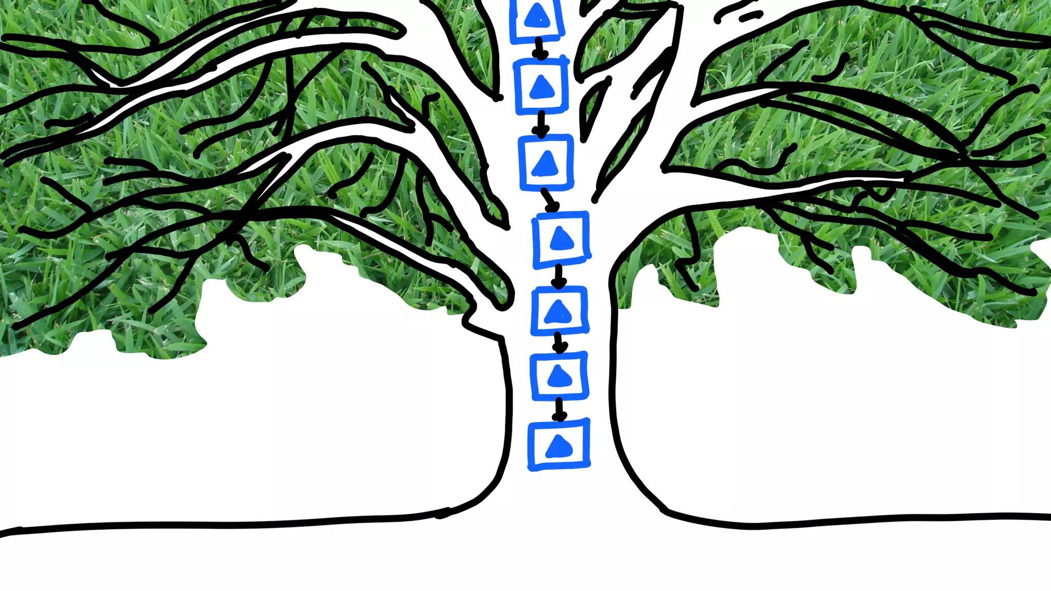 Никита Прокопов