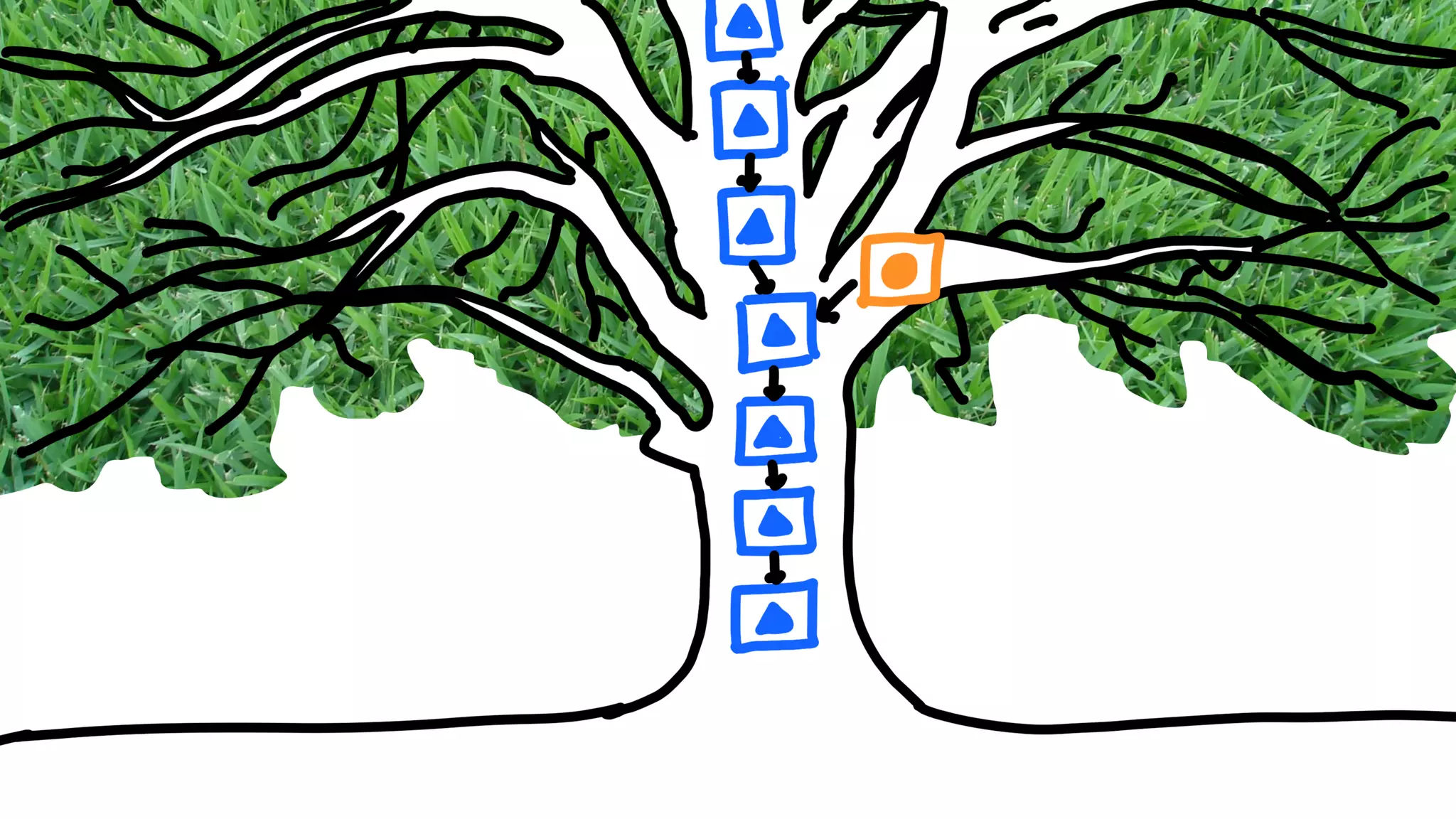 Никита Прокопов