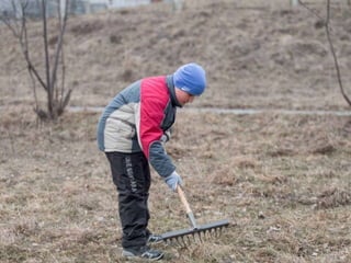 субботник 2017