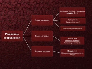 Радіаційне
забруднення
Вплив на людину
Збільшення к-ті дітей з вродженим
синдром Дауна
Мутація генів
Вроджені патології
Висока дитяча смертність
Вплив на тварин
Мутація генів
Тварини – мутанти
Поява тварин-мутантів
Вплив на рослини Мутація генів
Збільшення розмірів рослин та
плодів
 