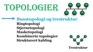 TOPOLOGIER
Busstopologi og trestruktur
Ringtopologi
Stjernetopologi
Masketopologi
Kombinerte topologier
Strukturert kabling
 