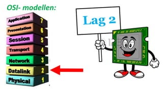 OSI- modellen:
 
