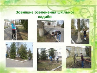 Зовнішнє озеленення шкільної
садиби
 