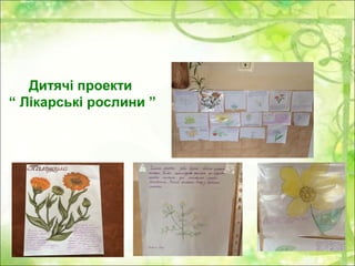 Дитячі проекти
“ Лікарські рослини ”
 