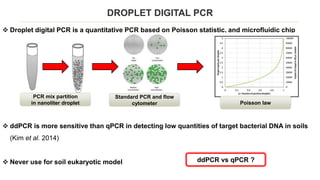 Origin and function of a metal resistance gene isolated from eukaryotic ...
