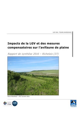 LGV SEA TOURS-BORDEAUX
Impacts de la LGV et des mesures
compensatoires sur l’avifaune de plaine
Rapport de synthèse 2016 – Richelais (37)
Pierre Réveillaud – LPO Touraine 2016
 