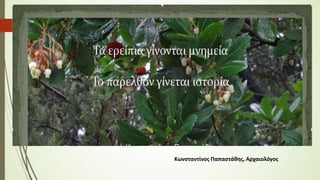 Κωνσταντίνος Παπαστάθης, Αρχαιολόγος
 