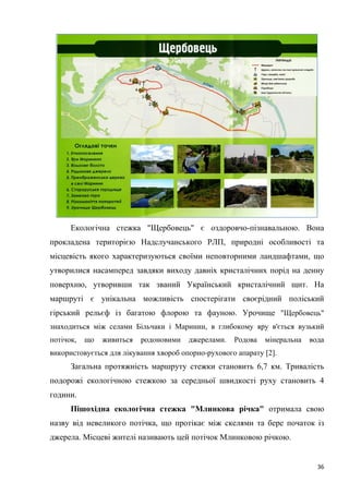 36
Екологічна стежка "Щербовець" є оздоровчо-пізнавальною. Вона
прокладена територією Надслучанського РЛП, природні особливості та
місцевість якого характеризуються своїми неповторними ландшафтами, що
утворилися насамперед завдяки виходу давніх кристалічних порід на денну
поверхню, утворивши так званий Український кристалічний щит. На
маршруті є унікальна можливість спостерігати своєрідний поліський
гірський рельєф із багатою флорою та фауною. Урочище "Щербовець"
знаходиться між селами Більчаки і Маринин, в глибокому яру в'ється вузький
потічок, що живиться родоновими джерелами. Родова мінеральна вода
використовується для лікування хвороб опорно-рухового апарату [2].
Загальна протяжність маршруту стежки становить 6,7 км. Тривалість
подорожі екологічною стежкою за середньої швидкості руху становить 4
години.
Пішохідна екологічна стежка "Млинкова річка" отримала свою
назву від невеликого потічка, що протікає між скелями та бере початок із
джерела. Місцеві жителі називають цей потічок Млинковою річкою.
 