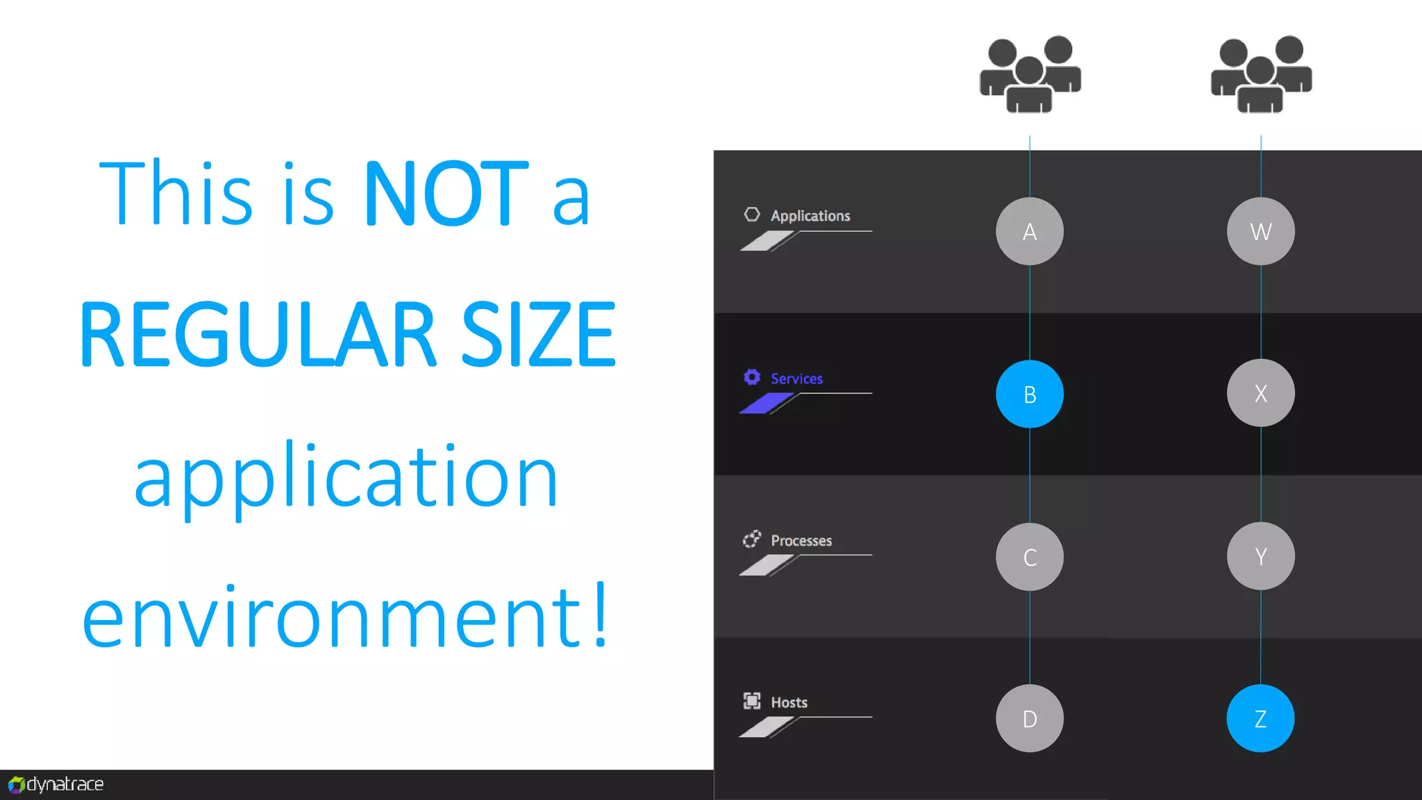 Confidential, Dynatrace, LLC
This is NOT a
REGULAR SIZE
application
environment!
B X
Z
C
A W
D
Y
 