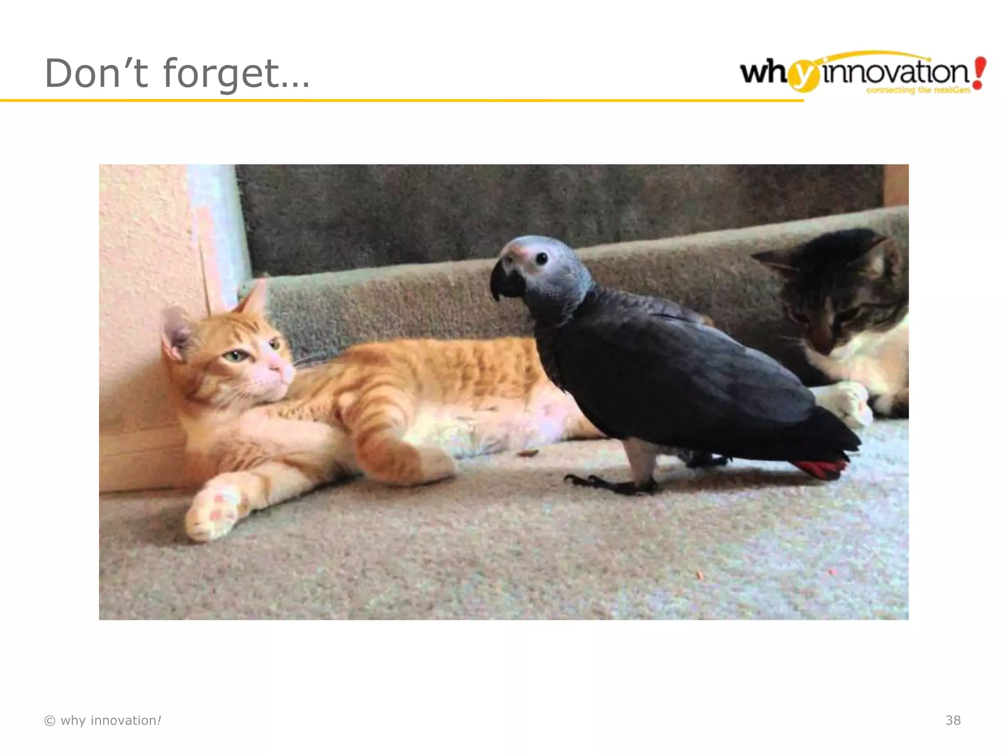 © why innovation! 38
Don’t forget…
 