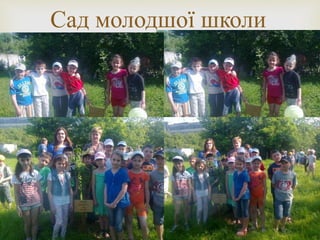 
Сад молодшої школи
 