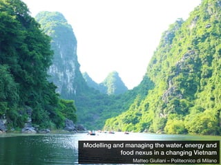 Modelling and managing the water, energy and
food nexus in a changing Vietnam
Matteo Giuliani – Politecnico di Milano
 
