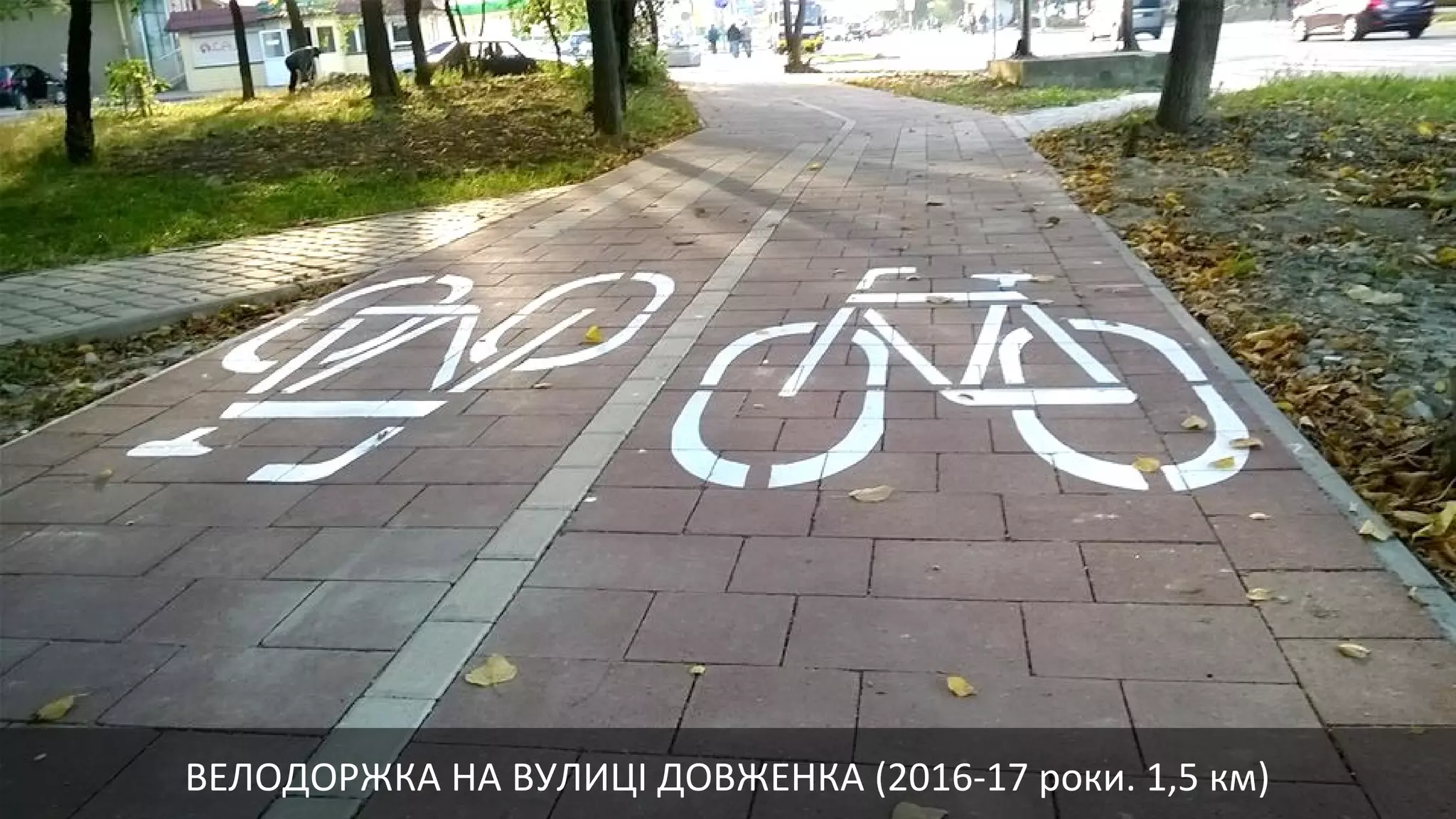 ВЕЛОДОРЖКА НА ВУЛИЦІ ДОВЖЕНКА (2016-17 роки. 1,5 км)
 