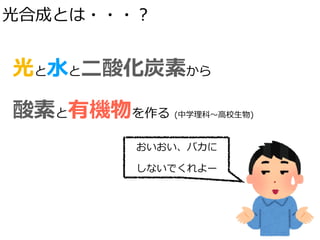 光合成とは・・・？
光と⽔と⼆酸化炭素から
酸素と有機物を作る (中学理科〜⾼校⽣物)
おいおい、バカに
しないでくれよー
 