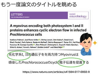 もう⼀度論⽂のタイトルを眺める
光化学系I, IIの遺伝⼦をを両⽅持つMyovirusは
感染したProchlorococcusのcyclic電⼦伝達を促進する
https://www.nature.com/articles/s41564-017-0002-9
 
