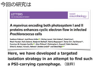 今回の研究は
Here, we have developed a targeted
isolation strategy in an attempt to ﬁnd such
a PSI-carrying cyanophage. （抜粋）
 