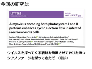 今回の研究は
ウイルスを採ってくる戦略を発展させてPSIを持つ
シアノファージを採ってきたぞ （意訳）
 