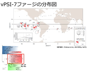 vPSI-7ファージの分布図
ここ
（紹介論⽂：Fridman et al., 2017のFig. 2より)
 