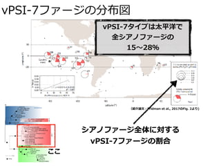 vPSI-7ファージの分布図
シアノファージ全体に対する
vPSI-7ファージの割合
ここ
vPSI-7タイプは太平洋で
全シアノファージの
15〜28％
（紹介論⽂：Fridman et al., 2017のFig. 2より)
 