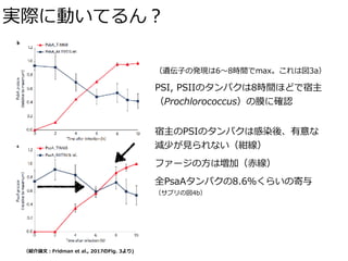 実際に動いてるん？
（紹介論⽂：Fridman et al., 2017のFig. 3より)
（遺伝⼦の発現は6〜8時間でmax。これは図3a）
PSI, PSIIのタンパクは8時間ほどで宿主
（Prochlorococcus）の膜に確認
宿主のPSIのタンパクは感染後、有意な 
減少が⾒られない（紺線）
ファージの⽅は増加（⾚線）
全PsaAタンパクの8.6％くらいの寄与 
（サプリの図4b）
 