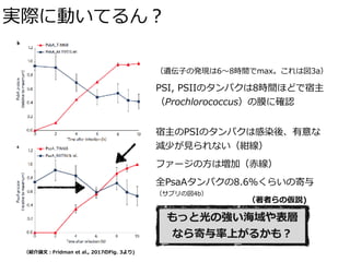 実際に動いてるん？
（紹介論⽂：Fridman et al., 2017のFig. 3より)
（遺伝⼦の発現は6〜8時間でmax。これは図3a）
PSI, PSIIのタンパクは8時間ほどで宿主
（Prochlorococcus）の膜に確認
もっと光の強い海域や表層 
なら寄与率上がるかも？
宿主のPSIのタンパクは感染後、有意な 
減少が⾒られない（紺線）
ファージの⽅は増加（⾚線）
全PsaAタンパクの8.6％くらいの寄与 
（サプリの図4b）
（著者らの仮説)
 