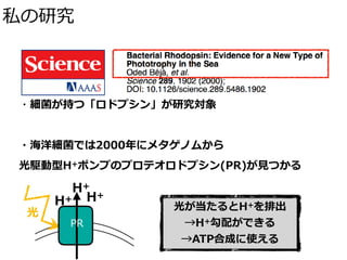 私の研究
・細菌が持つ「ロドプシン」が研究対象
・海洋細菌では2000年にメタゲノムから
光駆動型H+ポンプのプロテオロドプシン(PR)が⾒つかる
光
H+
PR
H+
H+
光が当たるとH+を排出
→H+勾配ができる
→ATP合成に使える
 