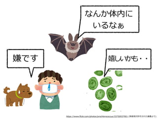 嫌です
なんか体内に
いるなぁ
https://www.ﬂickr.com/photos/prochlorococcus/33750937901 (再使⽤が許可された画像より)
嬉しいかも・・
 