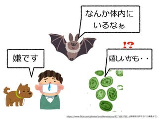 嫌です
なんか体内に
いるなぁ
https://www.ﬂickr.com/photos/prochlorococcus/33750937901 (再使⽤が許可された画像より)
嬉しいかも・・
!?
 