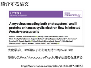 紹介する論⽂
光化学系I, IIの遺伝⼦をを両⽅持つMyovirusは
感染したProchlorococcusのcyclic電⼦伝達を促進する
https://www.nature.com/articles/s41564-017-0002-9
 