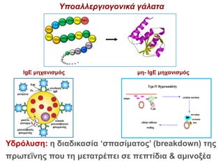 Υποαλλεργιογονικά γάλατα
Υδρόλυση: η διαδικασία ‘σπασίματος’ (breakdown) της
πρωτεΐνης που τη μετατρέπει σε πεπτίδια & αμινοξέα
IgE μηχανισμός μη- IgE μηχανισμός
 