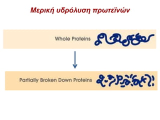 Μερική υδρόλυση πρωτεϊνών
 