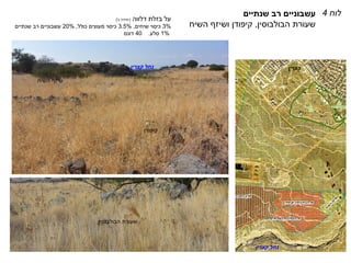 ‫שנתיים‬ ‫רב‬ ‫עשבוניים‬
‫שעורת‬
‫הבולבוסין‬
,
‫קיפודן‬
‫השיח‬ ‫ושיזף‬
‫לוח‬
4
‫בזלת‬ ‫על‬
‫דלווה‬
(
‫יחידה‬
‫ג‬
'
)
3%
‫שיחים‬ ‫כיסוי‬
,
3.5%
‫כולל‬ ‫מעוצים‬ ‫כיסוי‬
,
20%
‫שנתיים‬ ‫רב‬ ‫עשבוניים‬
1%
‫סלע‬
.
40
‫דונם‬
‫קצרין‬ ‫נחל‬
‫קיפודן‬
‫שעורת‬
‫הבולבוסין‬
‫השיח‬ ‫שיזף‬
‫קצרין‬ ‫נחל‬ ‫קצרין‬
 