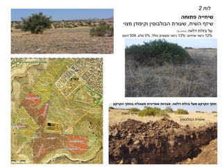 ‫פתוחה‬ ‫שיחייה‬
‫השיח‬ ‫שיזף‬
,
‫שעורת‬
‫הבולבוסין‬
‫מצוי‬ ‫וקיפודן‬
‫לוח‬
2
‫בזלת‬ ‫על‬
‫דלווה‬
(
‫א‬ ‫יחידה‬
'
)
12%
‫שיחים‬ ‫כיסוי‬
,
13%
‫כולל‬ ‫מעוצים‬ ‫כיסוי‬
,
0%
‫סלע‬
.
509
‫דונם‬
‫השיח‬ ‫שיזף‬
‫שעורת‬
‫הבולבוסין‬
‫הקרקע‬ ‫חתך‬
‫מעל‬
‫בזלת‬
‫דלווה‬
.
‫אבניות‬
‫אופיינית‬
‫מעוגלת‬
‫הקרקע‬ ‫בחתך‬
‫קצרין‬
 