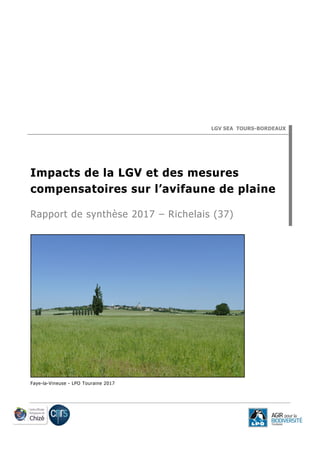 LGV SEA TOURS-BORDEAUX
Impacts de la LGV et des mesures
compensatoires sur l’avifaune de plaine
Rapport de synthèse 2017 – Richelais (37)
Faye-la-Vineuse - LPO Touraine 2017
 