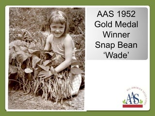 AAS 1952
Gold Medal
Winner
Snap Bean
‘Wade’
 
