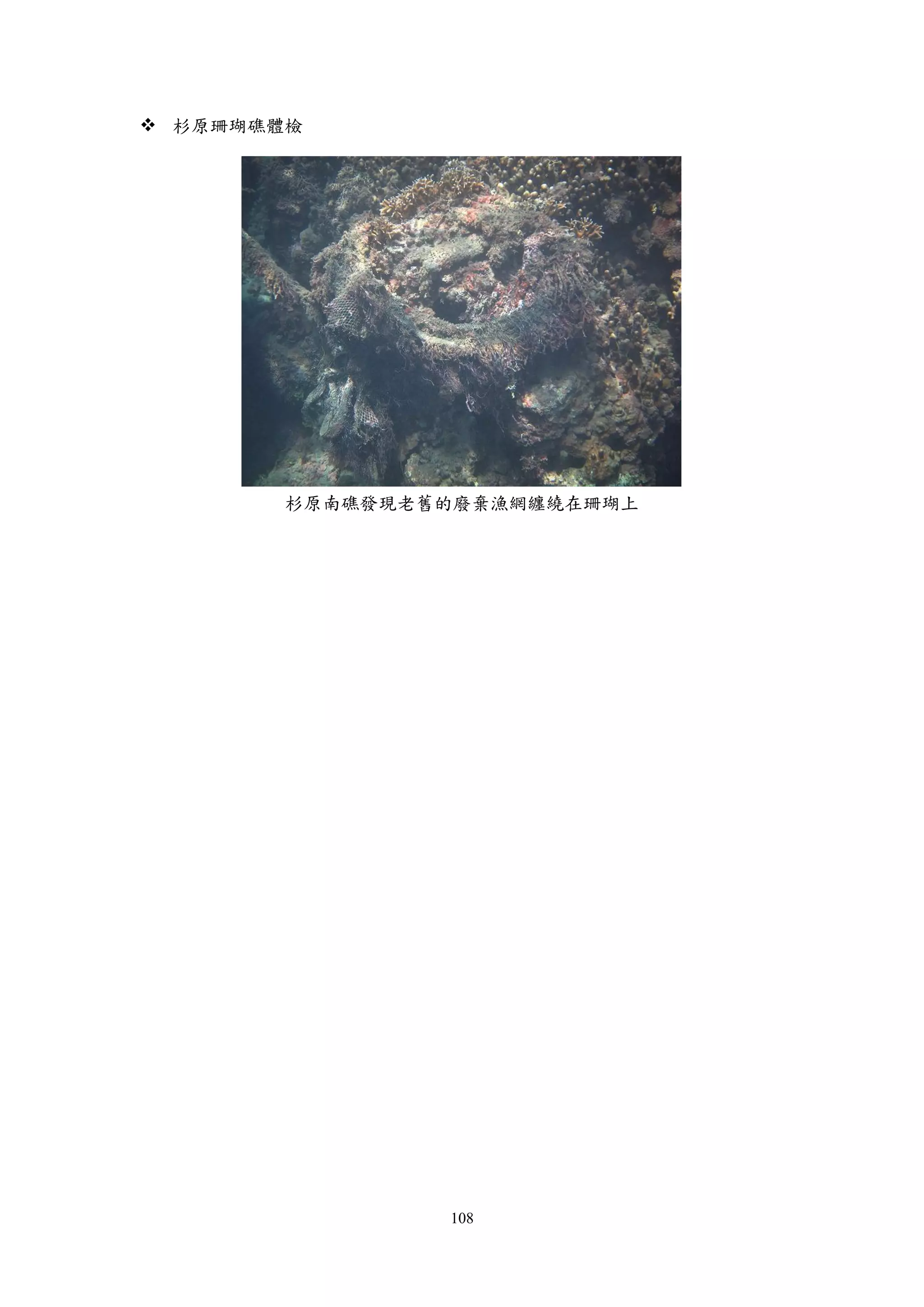 108
 杉原珊瑚礁體檢
杉原南礁發現老舊的廢棄漁網纏繞在珊瑚上
 