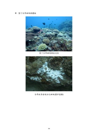 99
 墾丁合界珊瑚礁體檢
墾丁合界珊瑚礁狀況佳
合界秋季發現白化珊瑚(蕭伊真攝)
 