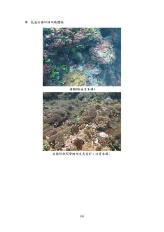 100
 花蓮石梯坪珊瑚礁體檢
裸胸鯙(林育朱攝)
石梯坪潮間帶珊瑚生長良好（林育朱攝）
 