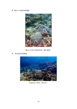 102
 龍洞 1.5 號珊瑚礁體檢
龍洞 1.5 號多表覆型珊瑚（蕭伊真攝）
 鼻頭角珊瑚礁體檢
鼻頭角水下情況（鄭念昀）
 