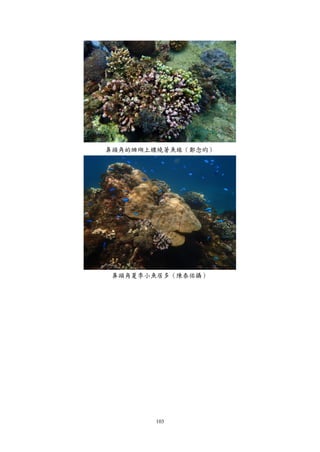 103
鼻頭角的珊瑚上纏繞著魚線（鄭念昀）
鼻頭角夏季小魚居多（陳泰佑攝）
 