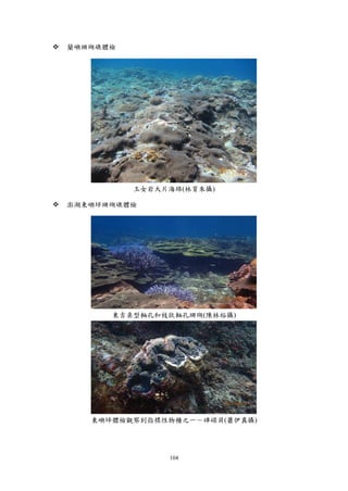 104
 蘭嶼珊瑚礁體檢
玉女岩大片海綿(林育朱攝)
 澎湖東嶼坪珊瑚礁體檢
東吉桌型軸孔和枝狀軸孔珊瑚(陳林裕攝)
東嶼坪體檢觀察到指標性物種之一－硨磲貝(蕭伊真攝)
 